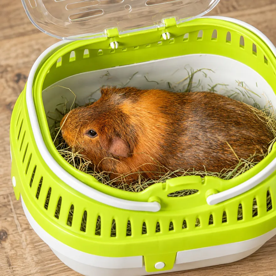 Переноска для гризунів Trixie Pico 30*21*23 см салатовий