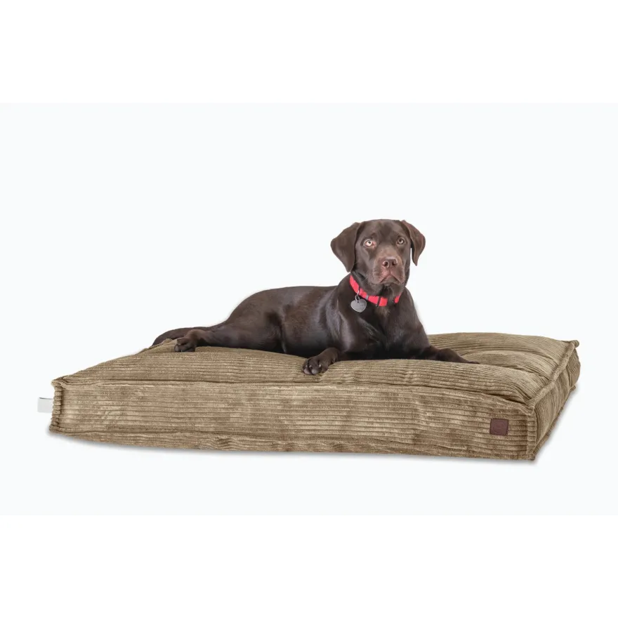 Подушка Harley&Cho Memory Foam Cacao M бежева 80*60*10 см