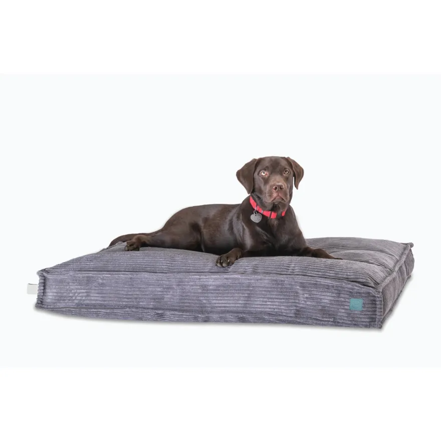 Подушка Harley&Cho Memory Foam Gray M сіра 80*60*10 см