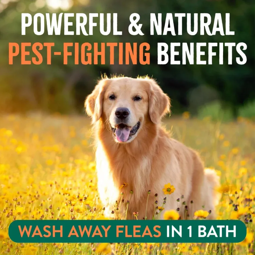 Шампунь TropiClean Flea & Tick "Максимальна сила" від бліх і кліщів для собак 592 мл