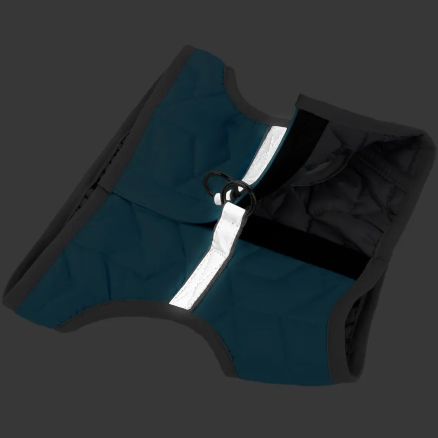 Шлея для собак AiryVest ONE м'яка XS2 блакитна