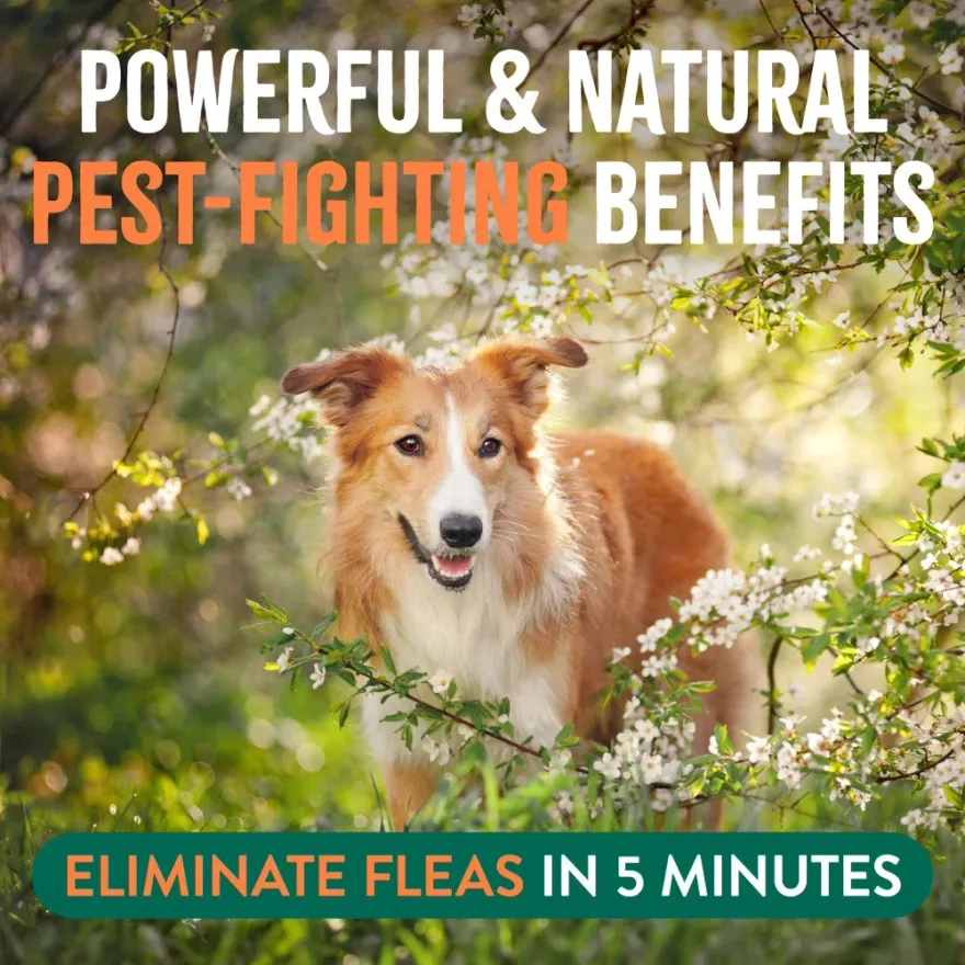Спрей від бліх і кліщів TropiClean Flea & Tick "Максимальна сила" для собак 473 мл