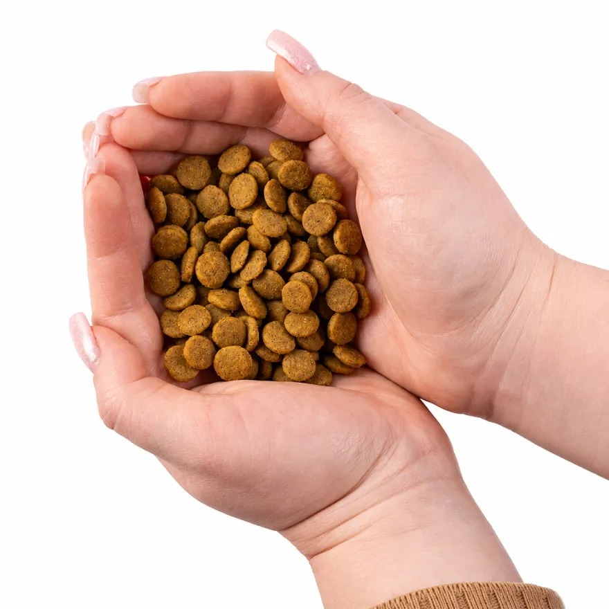 Сухий корм для дорослих собак усіх порід Nature's Protection Dog Extra Salmon з лососем 2 кг