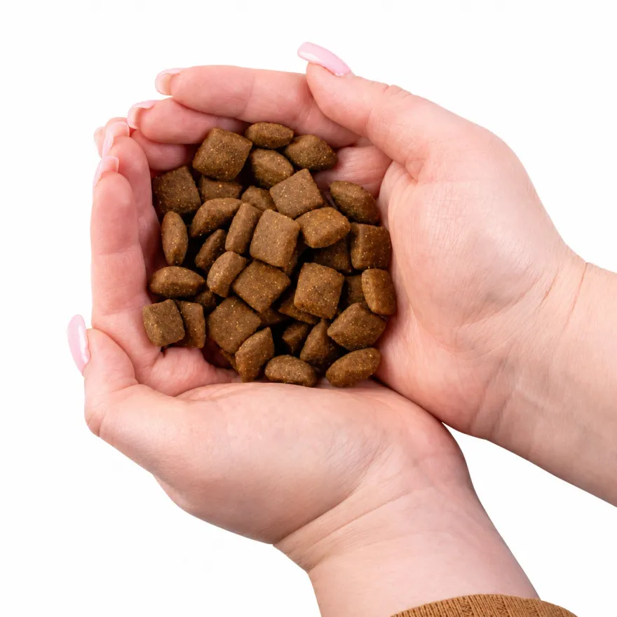 Сухий корм для дорослих собак усіх порід Nature's Protection Lifestyle Grain Free Salmon Adult All Breeds з лососем 1,5 кг