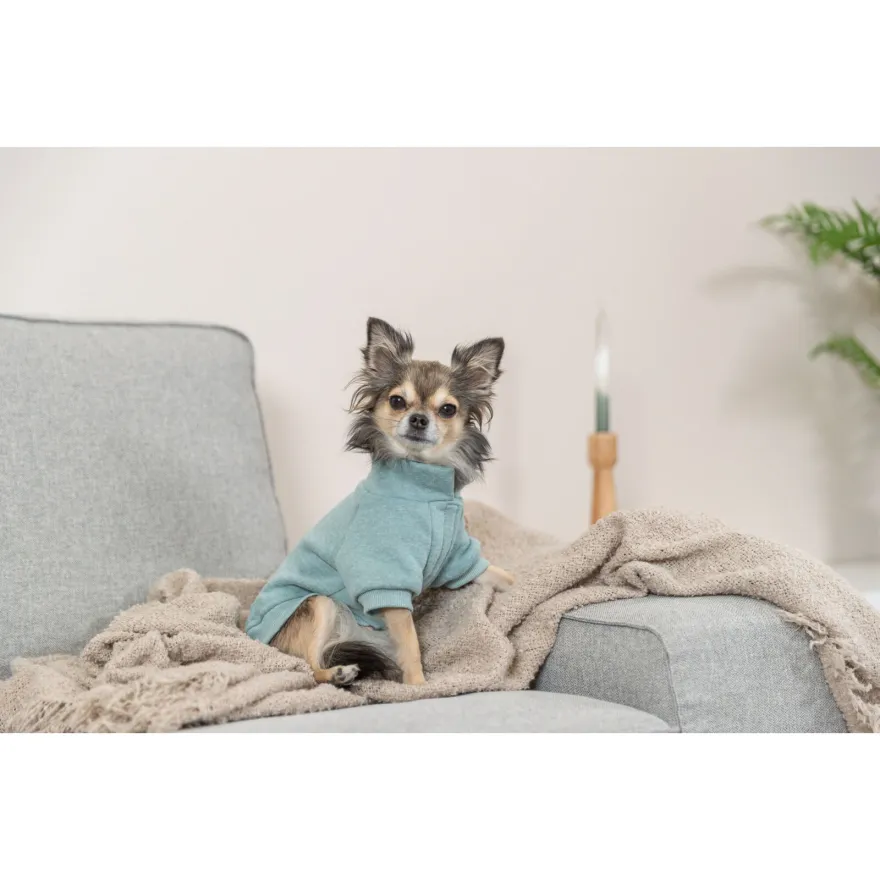 Світшот для собак Trixie "Littleton" XXS 18 см м'ятний