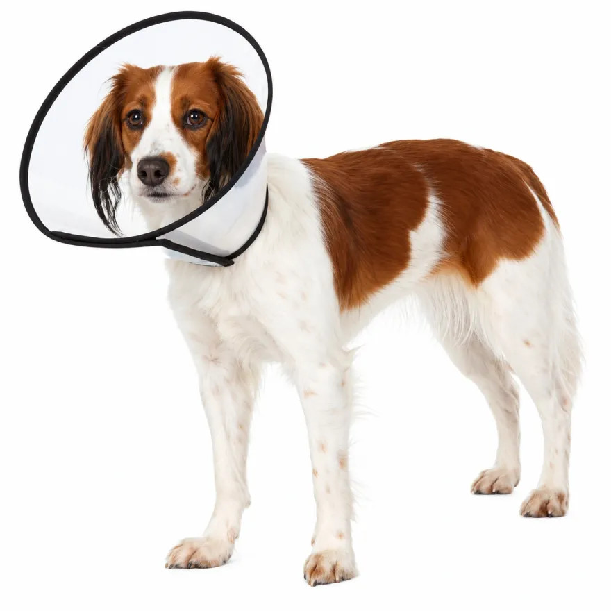 Ветеринарний комір Trixie Protective Collar пластиковий на липучці для котів і собак S 25-32 см / 12 см