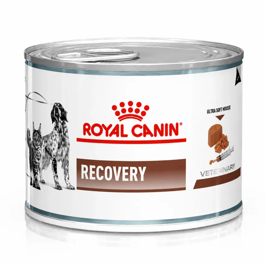 Вологий корм для дорослих собак та котів Royal Canin Recovery в період відновлення після хвороби, мус 195 г