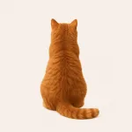 Котам