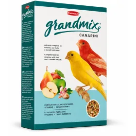 Корм для канарок Padovan Grandmix Canarini 400 г
