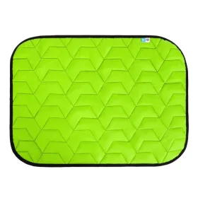 Підстилка для собак AiryVest S салатово-чорна 55*40 см