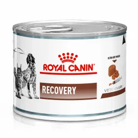 Вологий корм для дорослих собак та котів Royal Canin Recovery в період відновлення після хвороби, мус 195 г